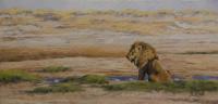 Africa,Lion,Big Cats,Predators,Oil Painting, Feline,