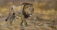 Africa,Lion,Big Cats,Predators,Oil Painting, Feline,