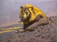Paul Apps,Oil Painting,Lion,Luangwa River
