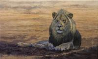 Africa,Lion,Big Cats,Predators,Oil Painting, Feline,