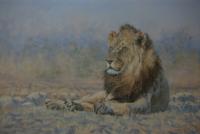 Africa,Lion,Big Cats,Predators,Oil Painting, Feline,