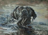 Oil painting, Dog Portrait,Paul Apps