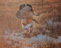 Dog,Spaniel ,Sporting,Painting,Paul Apps