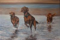 Paul Apps,Dogs,Sporting,Red Setters