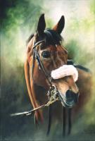 Grand National,Winner,Horse Race,Racing,Aintree,Martell