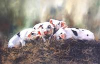 Oil painting,Pigs,Piglets,Farm