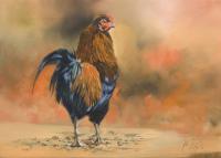 Poultry,Chicken,Aruacana,Oil painting,Farm