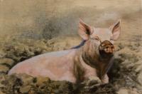 0300_Piggywallow_10_x_14_Oil_on_Canvas.jpg