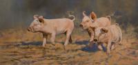 Oil painting,Pigs,Livestock,farm