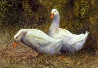 Ducks,Aylesbury,water,Oil painting,pond